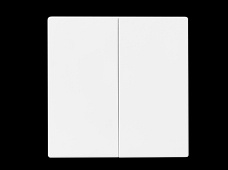 国标 Zigbee 智能二位墙壁开关（单火版） PS185 ZN102ZDH